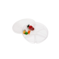 6 Compartment Nuts Sushi Food Blister Packaging Tray